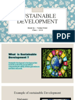On Sustainable Development