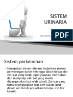 Sistem Urinaria