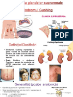 Sindromul Cushing2