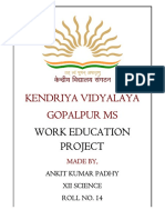 Work Education Project