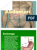 Abdomen