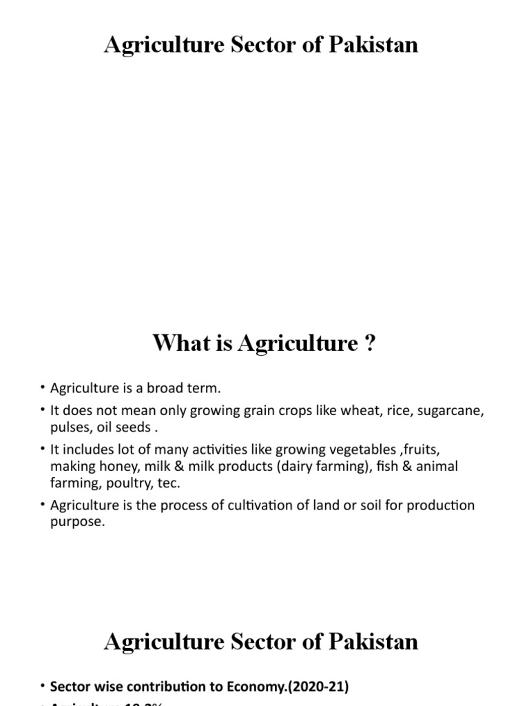 Agriculture Sector of Pakistan | PDF | Agriculture | Rice