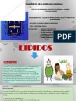 Trabajo de Lipidos Ss