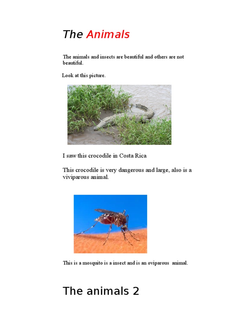 Overview of Diverse Animal Species | PDF | Home & Garden | Wellness