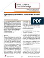Pathophysiology and Prevention of Postoperative Peritoneal Adhesions