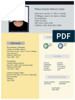 Perfil laboral Meliza Ventura