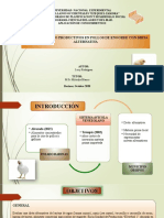 Diapositivas Definitivas