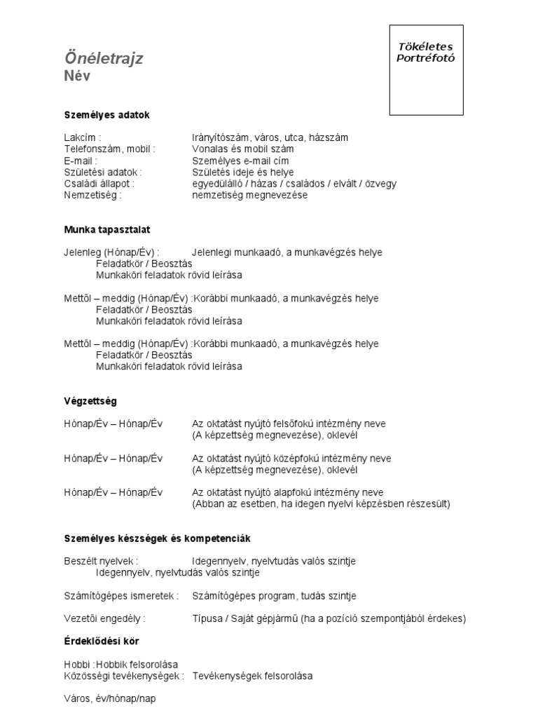 Curriculum vitae minta 08 image