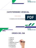 3 - Cateterismo Vesical