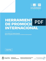 6.3 Promoción Internacional