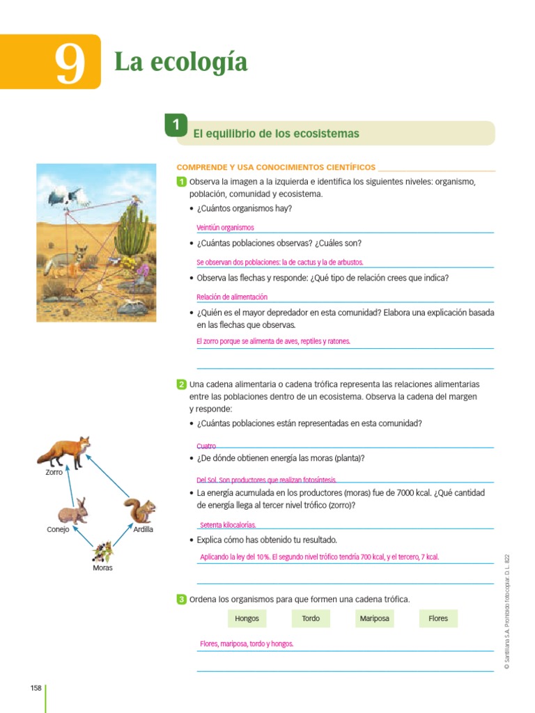 9NA UNIDAD La Ecologia | PDF | Ecología | Ecosistema