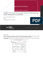 Semana 4S1Tarea 20 Escenario Laboral Conformando Los Grupos Homogéneos de Exposición en El Hospital Rural