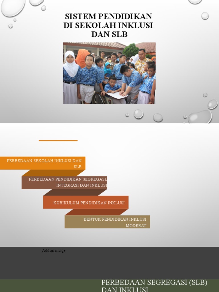 Sistem Pendidikan Sekolah Inklusi Dan SLB | PDF | Kesehatan Holistik