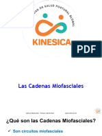 LasCadenasMiofasciales1-28