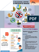 Prevenir El Dengue