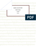 Basic anatomy and respiratory system overview