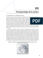 Introducción a la Neuropsicología capítulo 6 apartado III (Portellano, 2005)