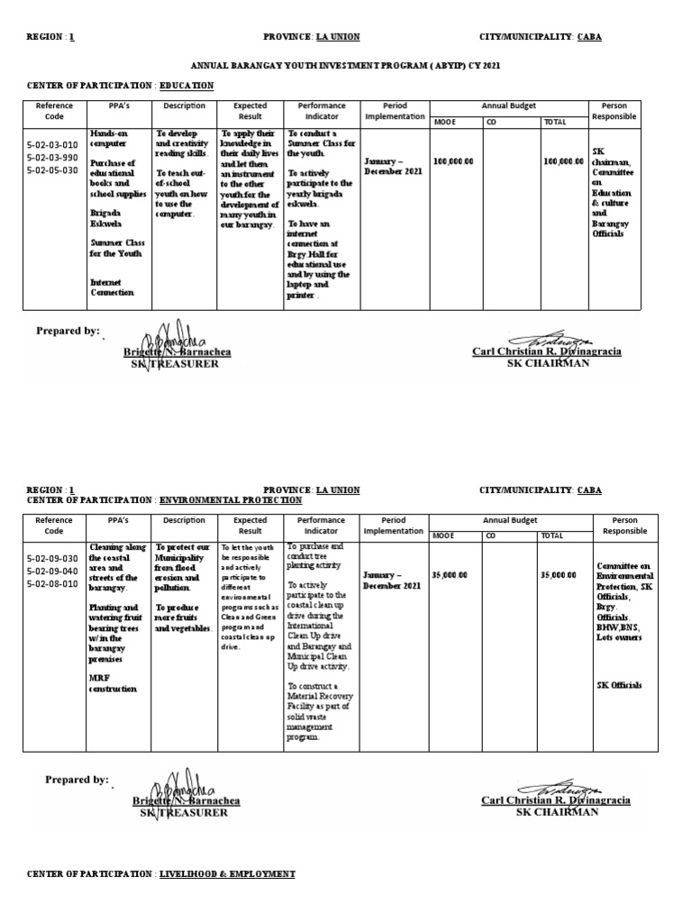 Annual Barangay Youth Investment Program | PDF