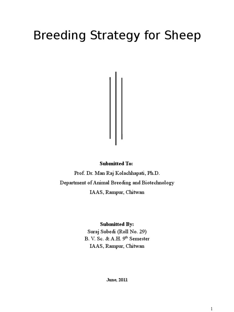 Breeding Plan For Sheep PDF Sheep Wool