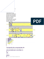 CROMATOGRAFIA GASOSA MASSAS