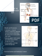 How Hormones and Glands Work Together