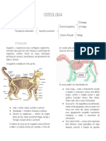 Osteologia: estrutura, tipos de tecido e funções do esqueleto