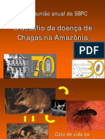 O Desafio Da Doença de Chagas Na Amazônia (Apresentação)