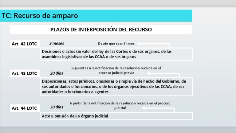 ¿Cuánto Tiempo Dura El Recurso De Amparo – HDNWTQ