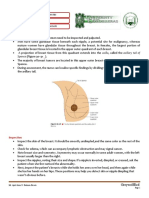 Health Assessment Handout 5