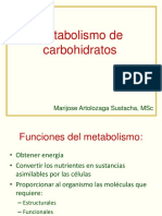Clase Metabolismo de Carbohidratos 1