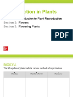 Classroom Presentation Toolkit Reproduction in Plants
