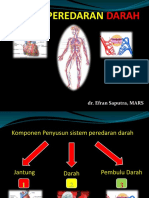 Sistem Peredaran Darah