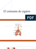 El Consumo de Cigarro