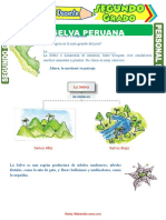 La-Selva-Peruana y Sus Recursos
