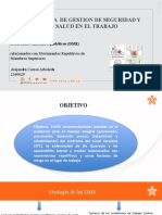 Sistema de Gestion de Seguridad Y Salud en El Trabajo: Desórdenes Musculoesqueléticos (DME)