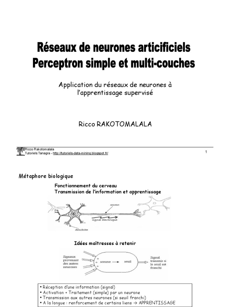 Réseaux de Neurones | PDF | Réseau de neurones artificiels ...