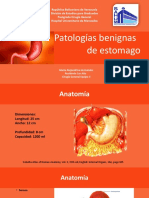 Patologias benignas de estomago Ale