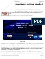 203 – Corps Carboné & Corps Silicé Késako ? 3:3 – Homo-Galacticus