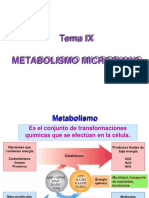 FB 9 Metabolismo 18