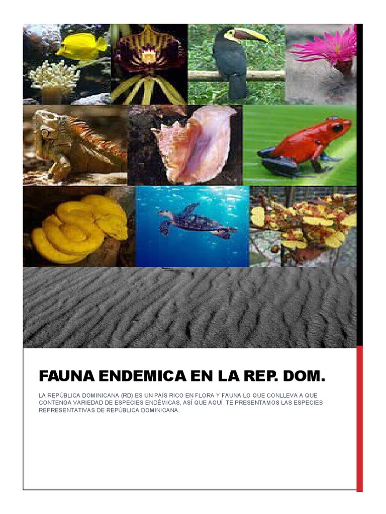 Fauna Endemica en La Rep PDF