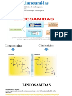 Lincosamidas: clasificación, mecanismo de acción y usos terapéuticos