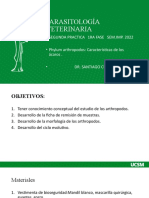 Parasitología Veterinaria