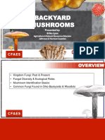 2018 Backyard Mushrooms Franklin MGVs
