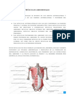 Músculos Abdominales y Psoas Iliaco - Documentos de Google