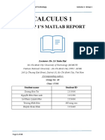 Calculus 1: Group 1'S Matlab Report