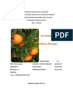 The Citrus Sinensis: Beneficios y propiedades de la naranja