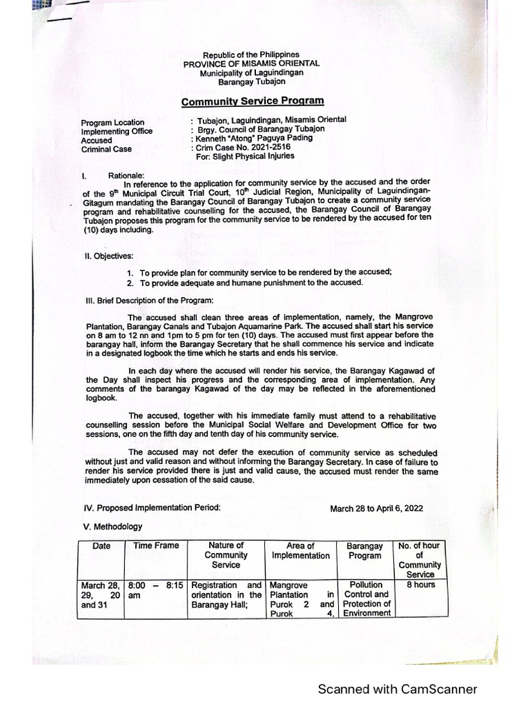 Community Service Plan Sample | PDF