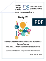 Tarea 5 Matriz EFE