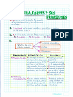 Celulas Partes y Sus Funciones