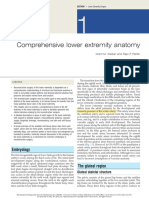 Comprehensive Lower Extremity Anatomy